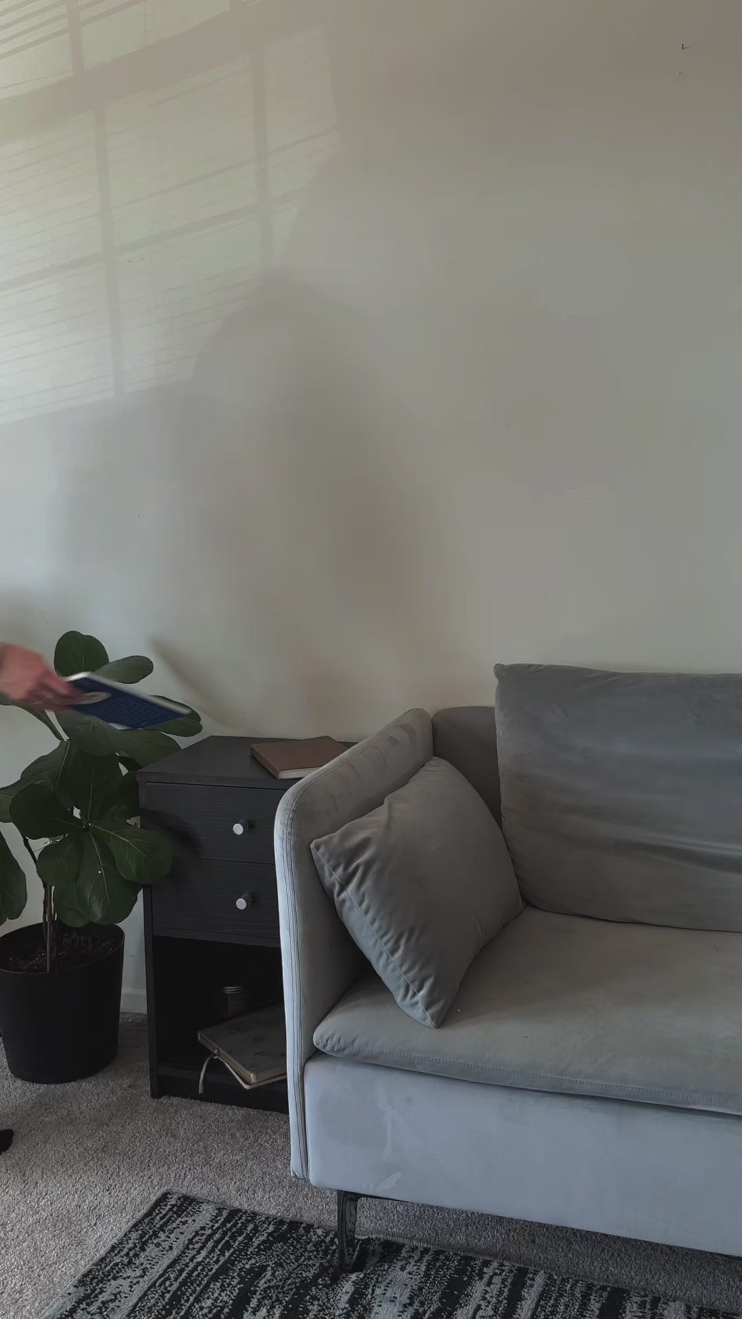 The Little Prince® LED Neon Sign